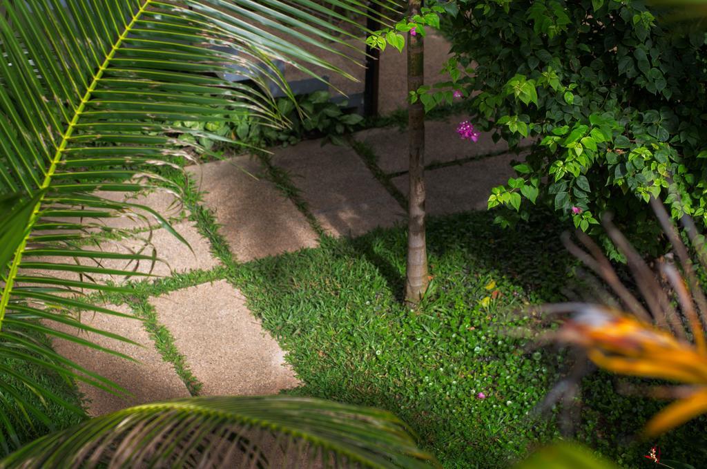 Apsara Suorkear Villa シェムリアップ エクステリア 写真